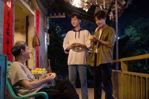 热播短剧迷失春夜张骏免费在线观看_迷失--第1张
