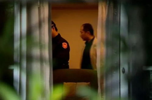 短剧大哥死后，大嫂杀疯了免费在线观看_大哥死了二哥照镜子--第1张