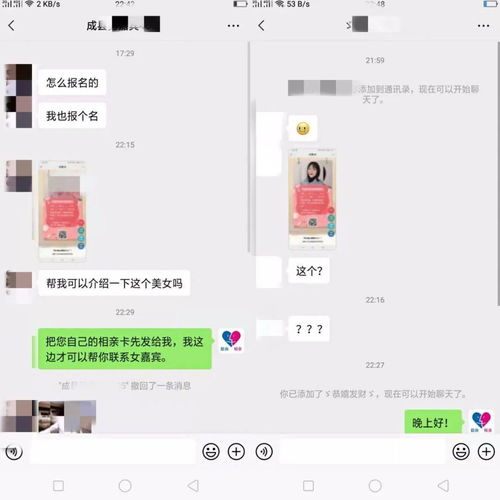 短剧布衣神算免费在线观看_免费1100集短剧已完结--第1张