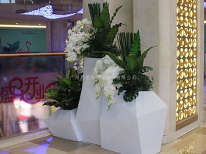 懒人绿植造景方法_绿植造景师--第1张