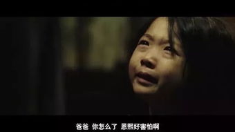 短剧离婚前我拿回了所有免费在线观看_离婚前一天我失忆了免费观看--第1张