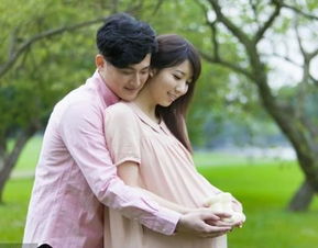 短剧范总，天上掉老婆了免费在线观看--第1张