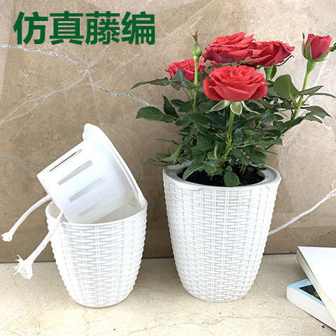懒人绿植自动吸水装置_自动吸水花盆养绿萝好吗--第1张