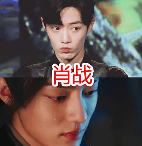 短剧为她流泪到天明免费在线观看_为他落泪歌词--第1张