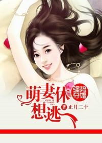 短剧强势锁婚：陆律师的锲约娇妻免费在线观看_傅少的落跑娇妻短剧在线免费观看--第1张