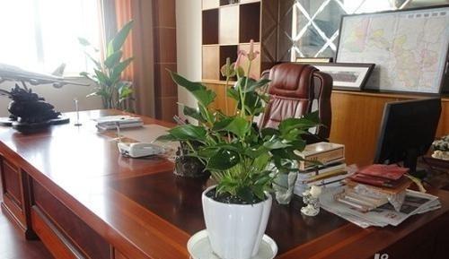 懒人绿植阳台办公桌_阳台办公桌设计--第1张