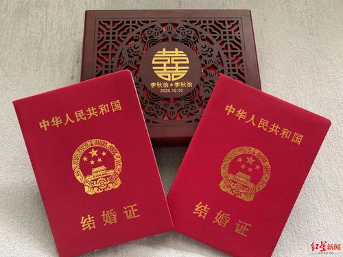 短剧领证后，被总裁老公高调宠免费在线观看_小说领证--第1张
