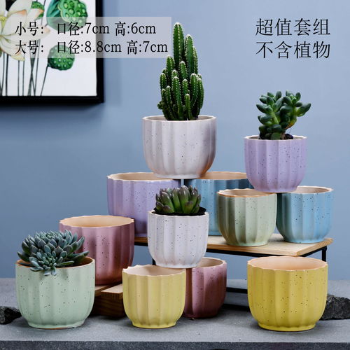 懒人花绿植陶瓷花盆_懒人花盆透气吗--第1张