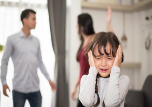 短剧叶少宣布离婚无效免费在线观看_叶少是谁--第1张