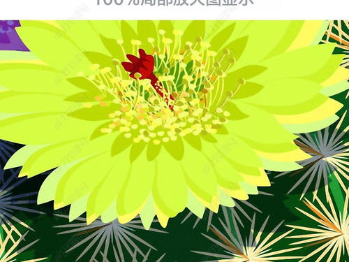 客厅懒人绿植大型图片_客厅怎么装饰绿植好看--第1张