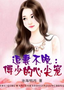 热播短剧夜少的心尖宠免费在线观看_夜少的心尖逃妻全文免费阅读--第1张