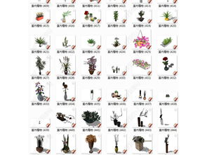 懒人桌面绿植摆件_桌面绿植盆栽--第1张