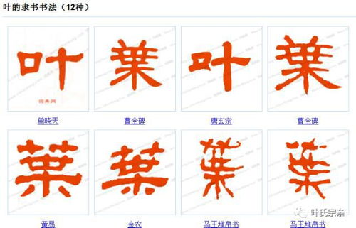 广东懒人绿植_认的篆书写法--第1张
