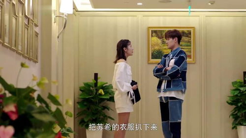 短剧总裁夫人的马甲掉了免费在线观看_总裁夫人你马甲又掉了--第1张