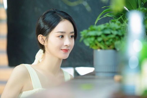 短剧穿越成女明星和霸总谈恋爱免费在线观看_女主穿越成为明星--第1张