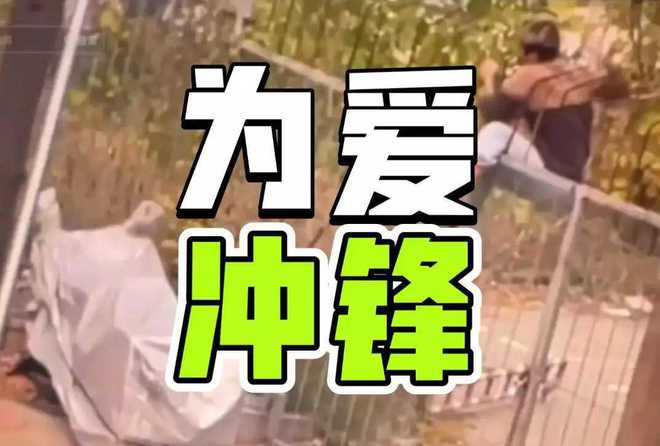 短剧开局为爱冲锋免费在线观看--第1张