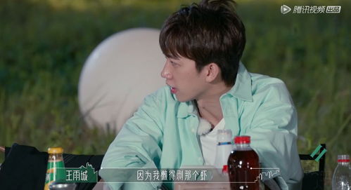 短剧失忆前夫爱上我免费在线观看_失忆前夫有点甜娱乐圈全文阅读--第1张