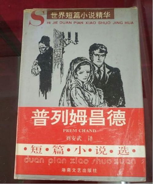 短剧明知故犯免费在线观看_明知故犯讲什么--第1张