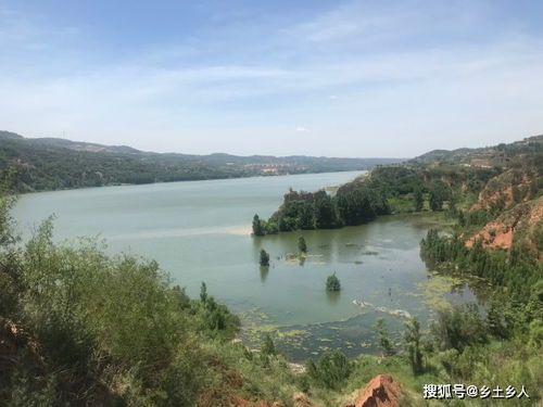 短剧大隐于市免费在线观看_大隐于市啥意思--第1张