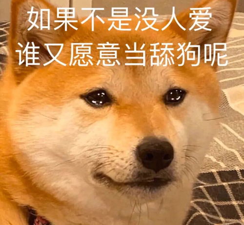关于短剧我再也不想恋爱了&我有九千万亿舔狗金免费在线观看的信息--第1张