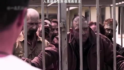 热播短剧末日将至，我成了救世主免费在线观看_末日了我竟成了丧尸下载--第1张