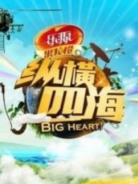 短剧纵横免费在线观看_有个电视剧叫什么纵横--第1张