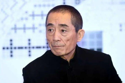 热播短剧金总夫人真千金免费在线观看_金夫人是哪部电视剧人物--第1张