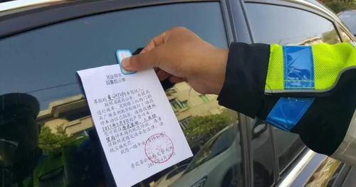 交警123123违章查询网_交警123123违章查询网沈阳市法库县尚屯村赵海蓉--第1张