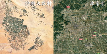 短剧新：狂龙下山免费在线观看_狂龙下山全文免费阅读--第1张