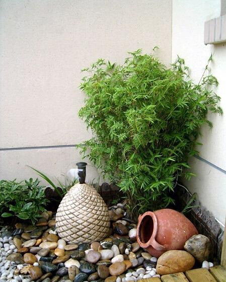 懒人绿植花园图片高清_懒人花有哪些品种--第1张