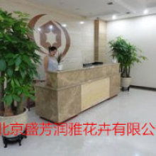 懒人园艺鲜花绿植店铺_花卉绿植店--第1张
