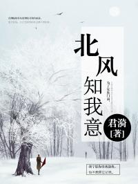 短剧北境至尊长篇免费在线观看_小说北境之主--第1张