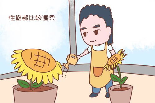 短剧离婚后大明星老婆后悔了免费在线观看_离婚后过得更精彩的女明星--第1张