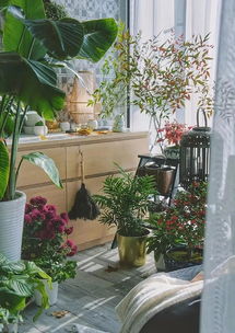 懒人阳台绿植打造方案_懒人阳台绿植打造方案--第1张