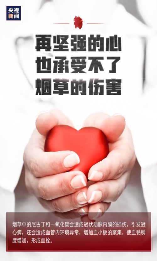 短剧带着药箱闯古代免费在线观看_带着药箱闯古代1到100集--第1张