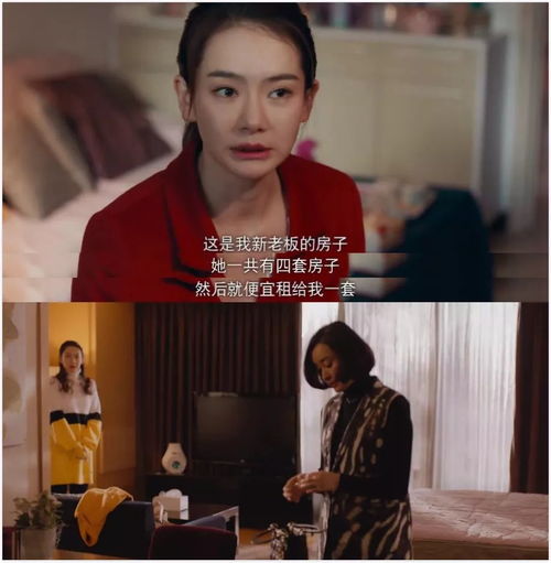 短剧深情女主人设崩了免费在线观看_深情女主的小说推荐--第1张