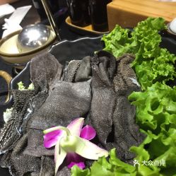 过年懒人绿植图片大全_尿酸高毛肚能不能吃--第1张