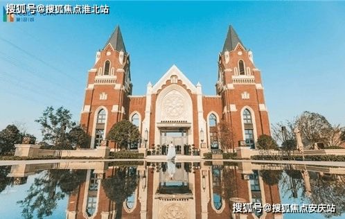 短剧保安老公是龙首免费在线观看_我的老公是保安--第1张