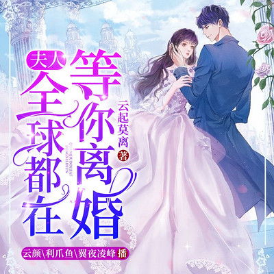 热播短剧神医俏女婿免费在线观看_神医俏女婿有声小说免费下载--第1张
