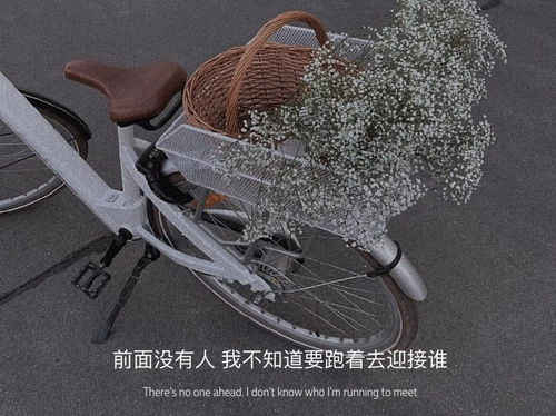 懒人必入手绿植文案怎么写_朋友圈关于绿植的文艺句子--第1张