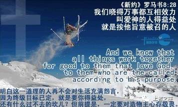 短剧纪念我们遗失的爱免费在线观看_我们的纪念ape--第1张
