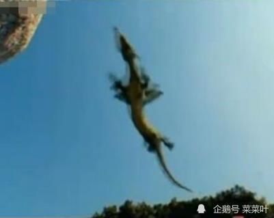 短剧坠龙免费在线观看_坠龙事件演员表--第1张