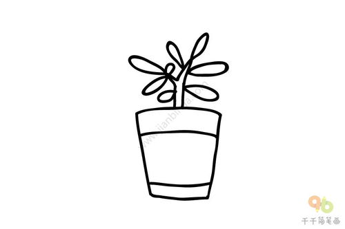 懒人绿植造景图片简笔画_懒人绿植造景图片简笔画--第1张