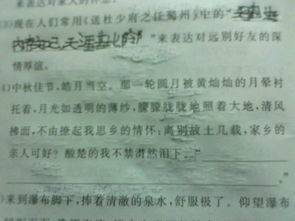 短剧半江瑟瑟半江红免费在线观看_半江瑟瑟半江红上一句是啥--第1张