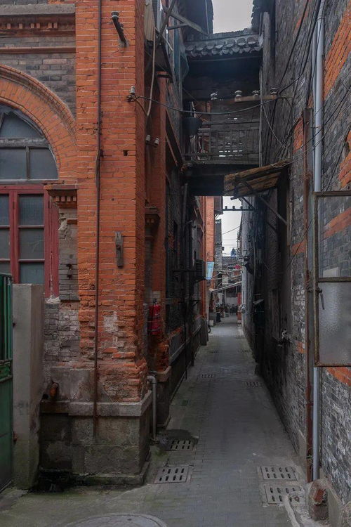 短剧路漫情深远免费在线观看_免费1100集短剧已完结在线观看--第1张