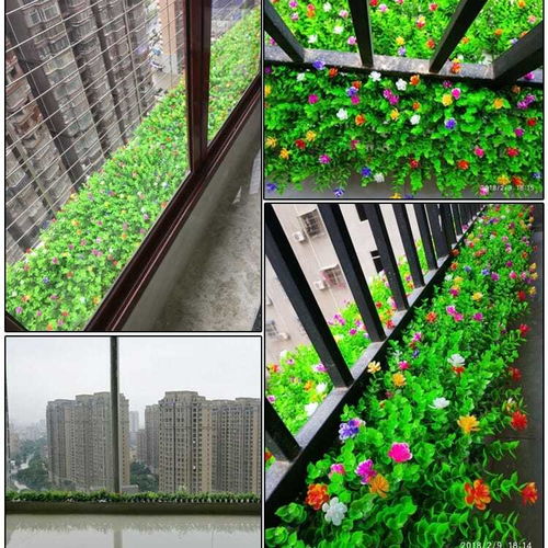 懒人绿植室外花草_适合懒人养的花室外--第1张