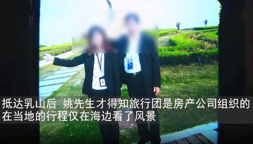 短剧六个大佬的心尖宠，终于离婚了免费在线观看_六个大佬的心尖团宠--第1张