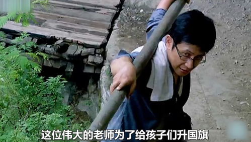 短剧杀猪医圣免费在线观看_杀猪的电视剧名字叫个啥--第1张