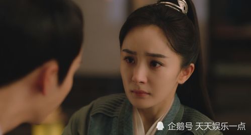 热播短剧夫人，boss他也重生了长篇免费在线观看_夫人,boss又来扒你马甲了免费阅读--第1张