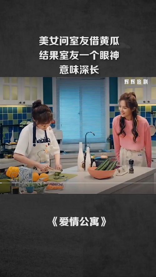 关于短剧我和房东的秘密，我的美女室友合免费在线观看的信息--第1张